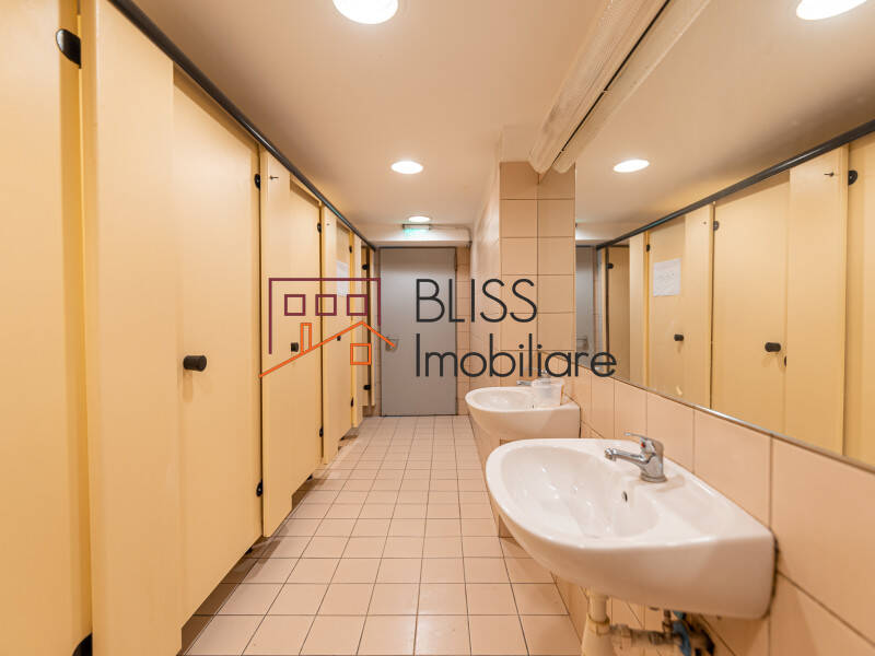 Production Facility With Offices Bucharest, Bucharest | Bliss Imobiliare / Photo 30 - BLISS Imobiliare