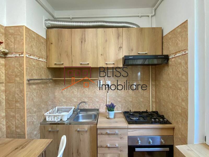 1 Bedroom Apartment In Floreasca Area, Bucharest | Bliss Imobiliare / Photo 10 - BLISS Imobiliare